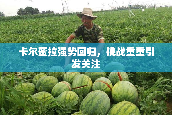 卡尔蜜拉强势回归，挑战重重引发关注