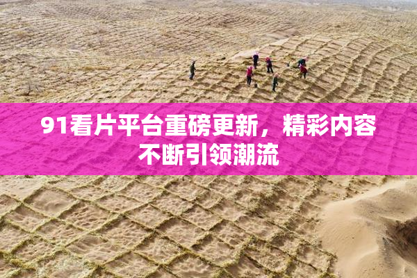 91看片平台重磅更新，精彩内容不断引领潮流
