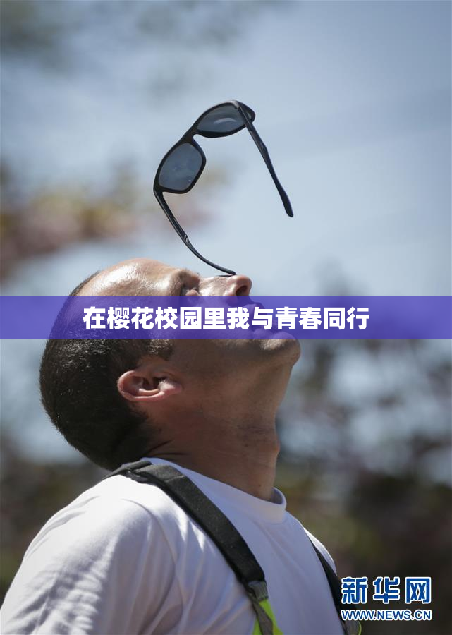 在樱花校园里我与青春同行