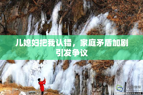 儿媳妇把我认错，家庭矛盾加剧引发争议