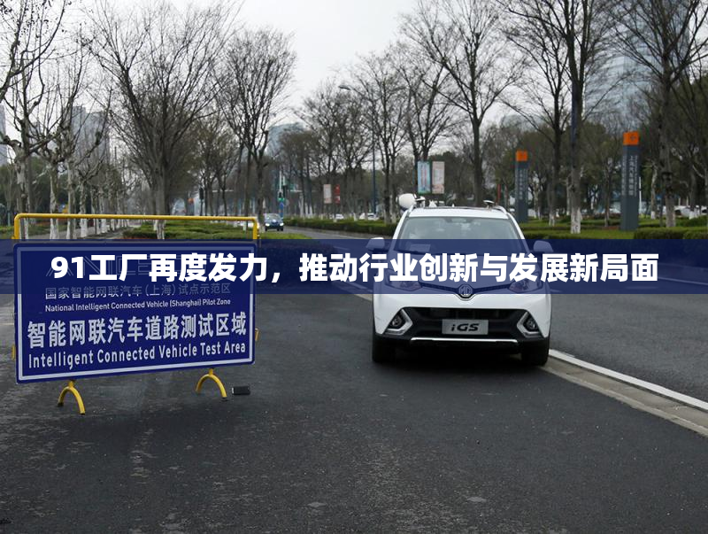 91工厂再度发力，推动行业创新与发展新局面