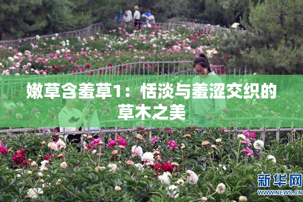 嫩草含羞草1：恬淡与羞涩交织的草木之美