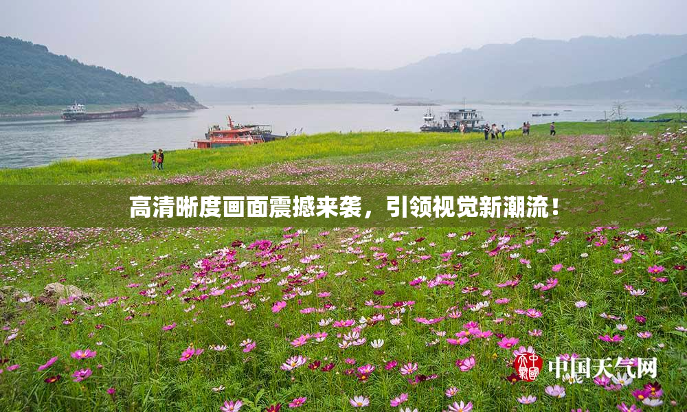 高清晰度画面震撼来袭，引领视觉新潮流！