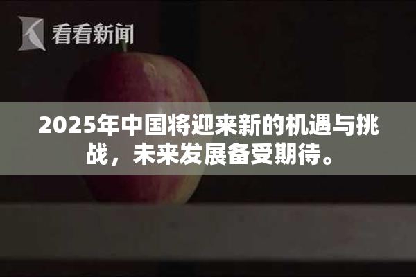 2025年中国将迎来新的机遇与挑战，未来发展备受期待。
