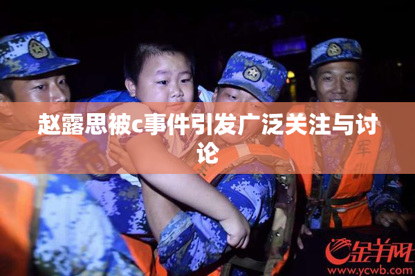 赵露思被c事件引发广泛关注与讨论