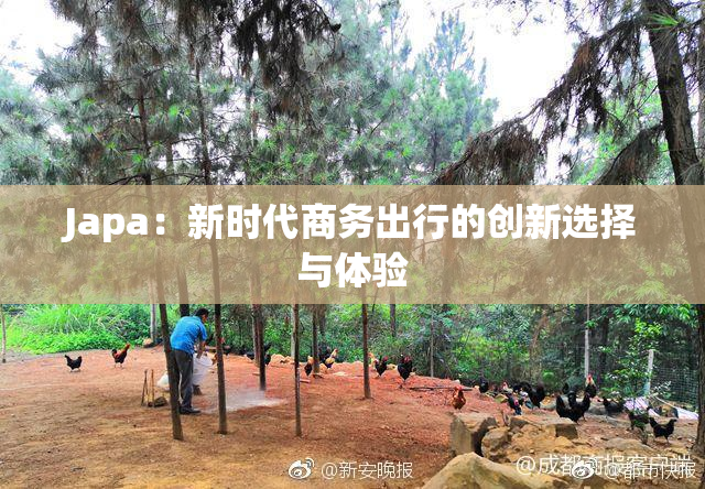 Japa：新时代商务出行的创新选择与体验