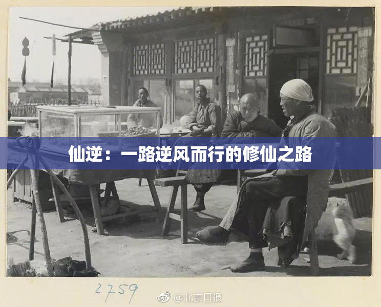 仙逆：一路逆风而行的修仙之路
