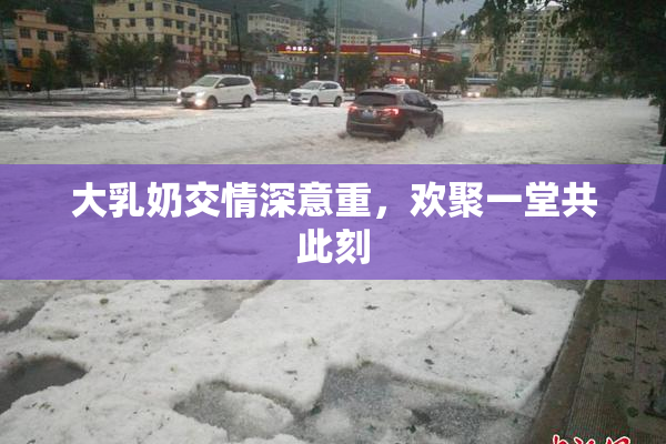 大乳奶交情深意重，欢聚一堂共此刻