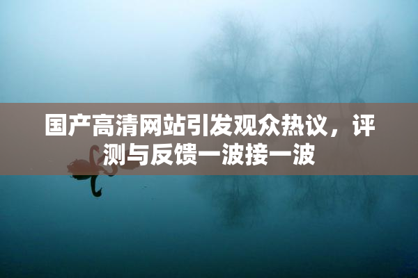 国产高清网站引发观众热议，评测与反馈一波接一波
