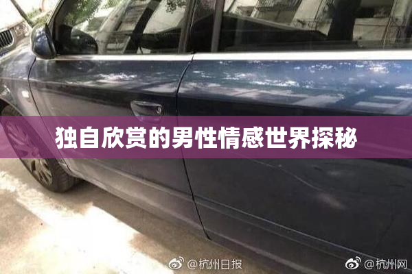 独自欣赏的男性情感世界探秘