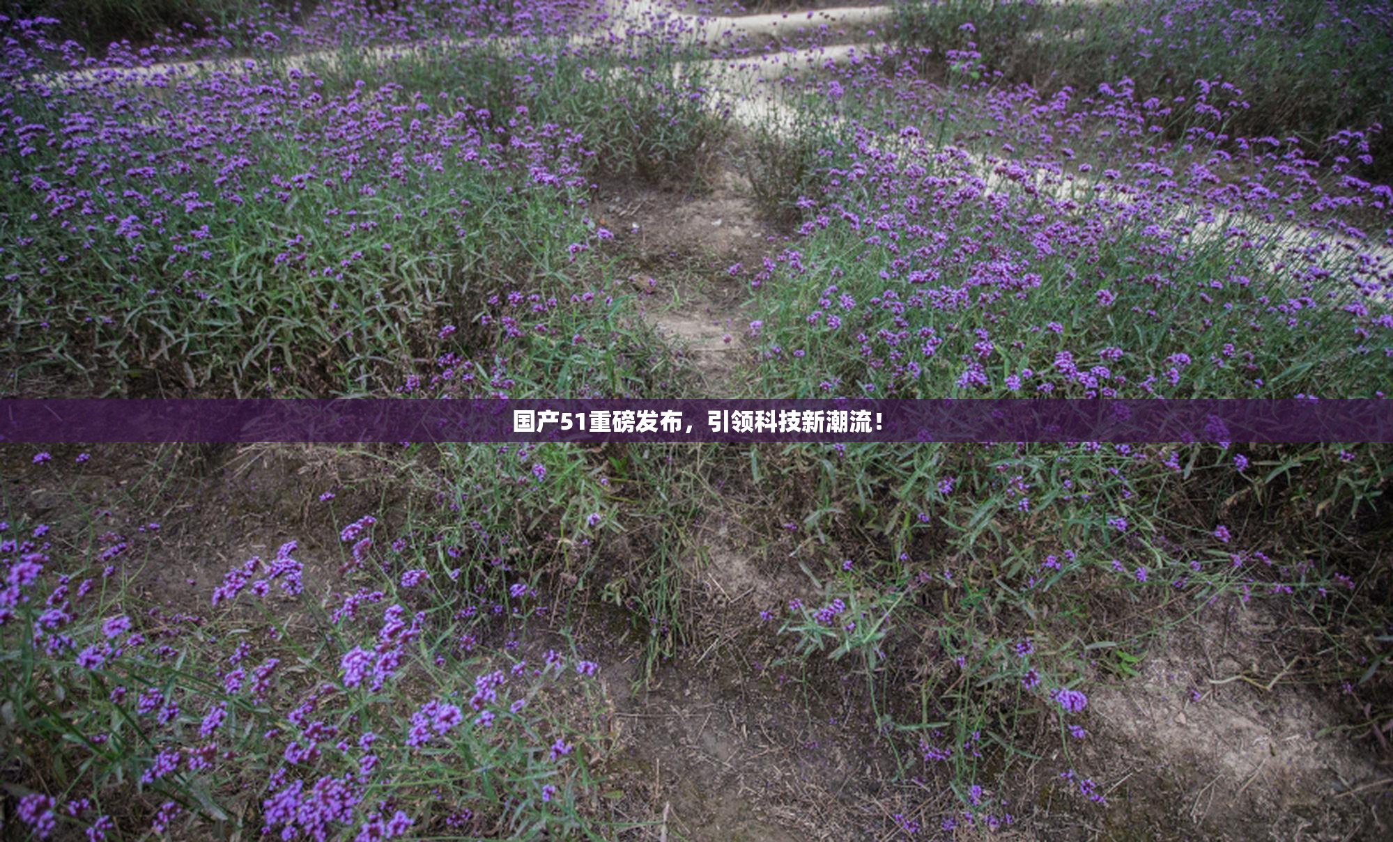 国产51重磅发布，引领科技新潮流！