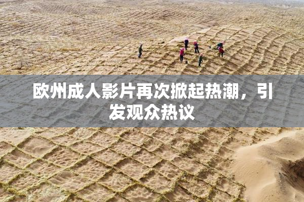欧州成人影片再次掀起热潮，引发观众热议