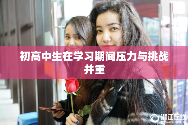 初高中生在学习期间压力与挑战并重