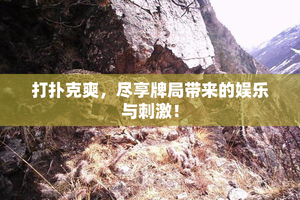 打扑克爽，尽享牌局带来的娱乐与刺激！