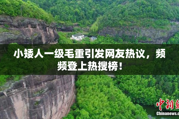 小矮人一级毛重引发网友热议，频频登上热搜榜！
