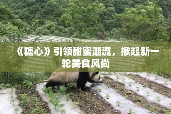 《糖心》引领甜蜜潮流，掀起新一轮美食风尚