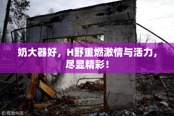 奶大器好，H野重燃激情与活力，尽显精彩！