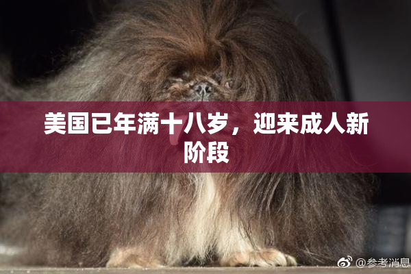 美国已年满十八岁，迎来成人新阶段