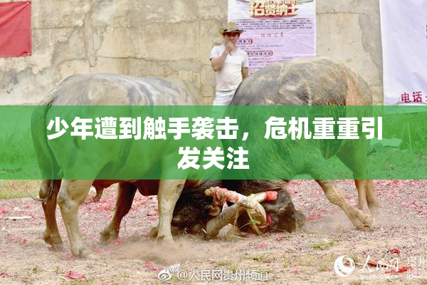 少年遭到触手袭击，危机重重引发关注