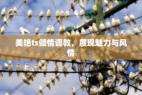 美艳ts倾情调教，展现魅力与风情