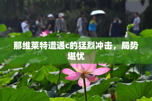 那维莱特遭遇c的猛烈冲击，局势堪忧
