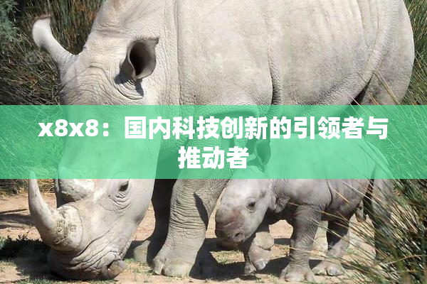 x8x8：国内科技创新的引领者与推动者