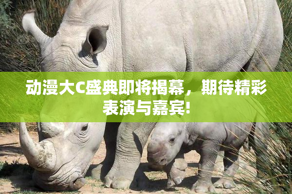 动漫大C盛典即将揭幕，期待精彩表演与嘉宾!