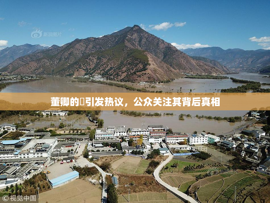 董卿的婬引发热议，公众关注其背后真相