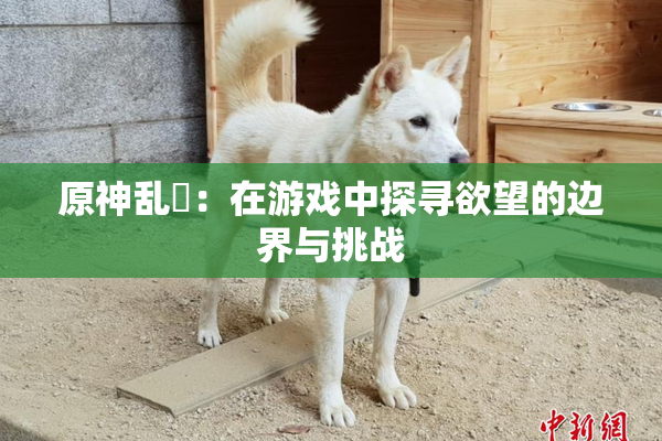 原神乱婬：在游戏中探寻欲望的边界与挑战