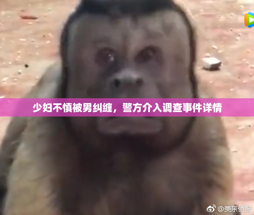 少妇不慎被男纠缠，警方介入调查事件详情