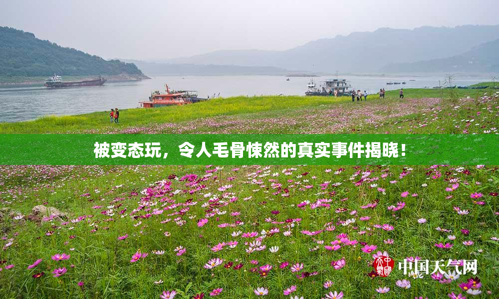 被变态玩，令人毛骨悚然的真实事件揭晓！