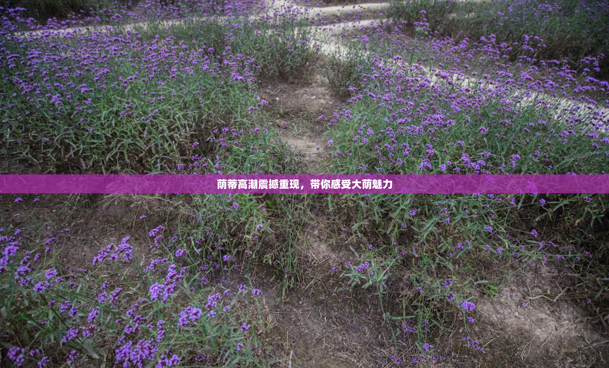 荫蒂高潮震撼重现，带你感受大荫魅力