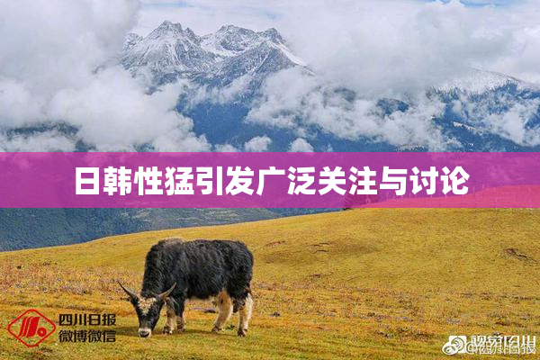 日韩性猛引发广泛关注与讨论