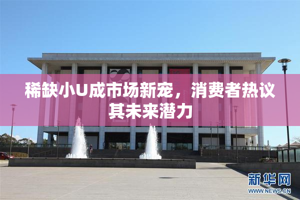 稀缺小U成市场新宠，消费者热议其未来潜力