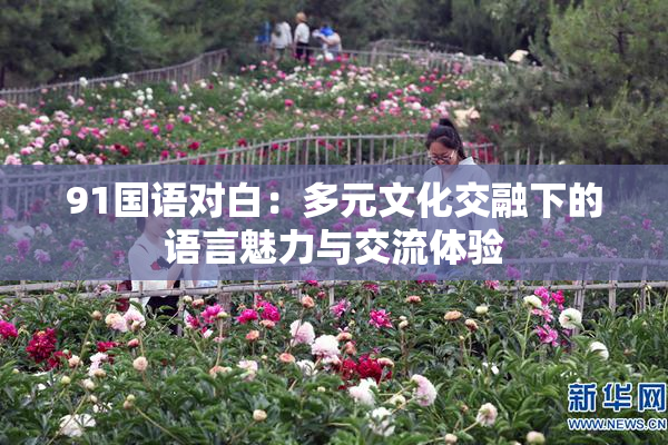 91国语对白：多元文化交融下的语言魅力与交流体验