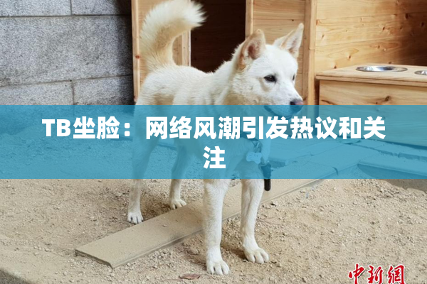 TB坐脸：网络风潮引发热议和关注