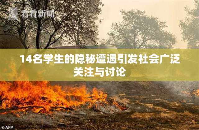 14名学生的隐秘遭遇引发社会广泛关注与讨论
