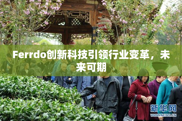 Ferrdo创新科技引领行业变革，未来可期