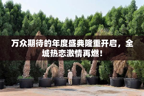 万众期待的年度盛典隆重开启，全城热恋激情再燃！
