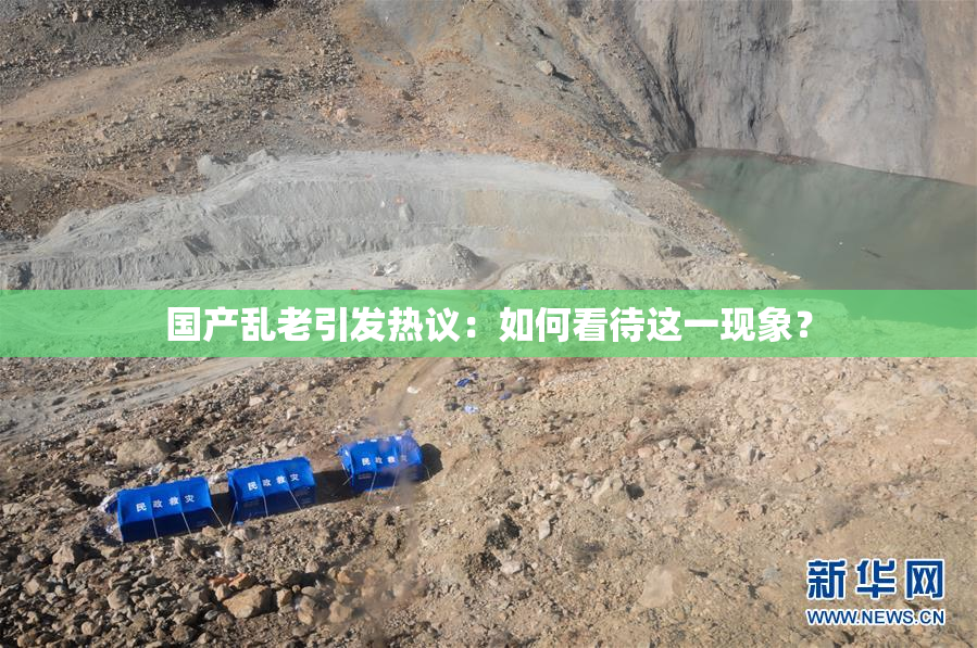 国产乱老引发热议：如何看待这一现象？
