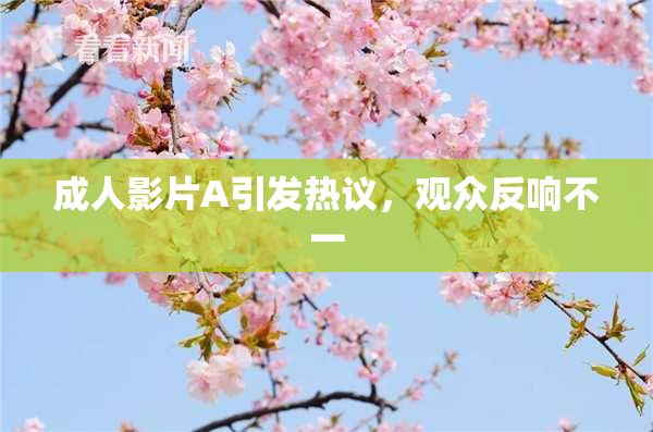 成人影片A引发热议，观众反响不一