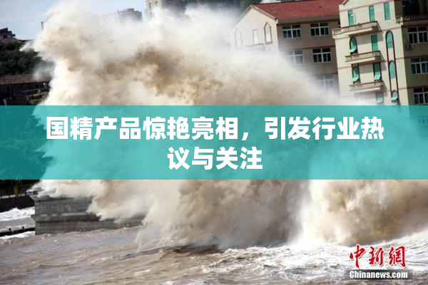 国精产品惊艳亮相，引发行业热议与关注
