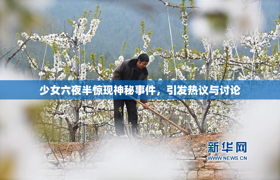 少女六夜半惊现神秘事件，引发热议与讨论