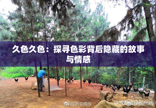久色久色：探寻色彩背后隐藏的故事与情感