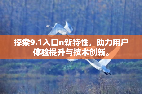 探索9.1入口n新特性，助力用户体验提升与技术创新。