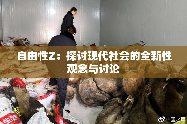 自由性Z：探讨现代社会的全新性观念与讨论