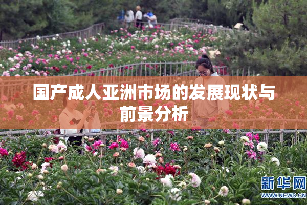 国产成人亚洲市场的发展现状与前景分析