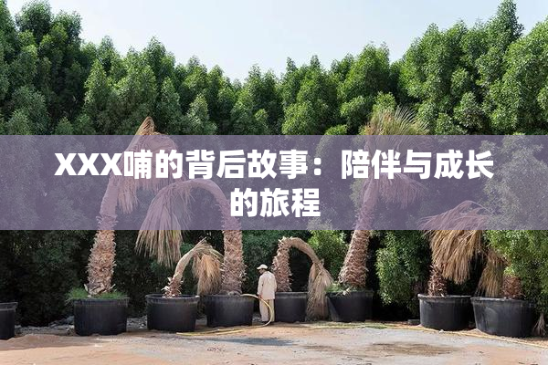 XXX哺的背后故事：陪伴与成长的旅程