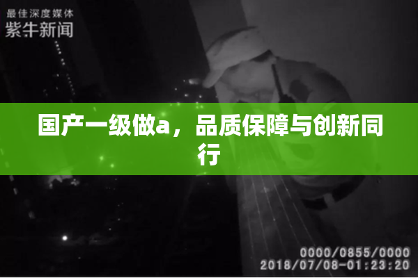 国产一级做a，品质保障与创新同行