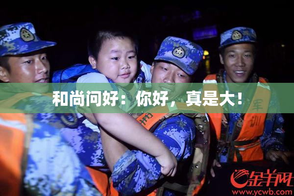和尚问好：你好，真是大！